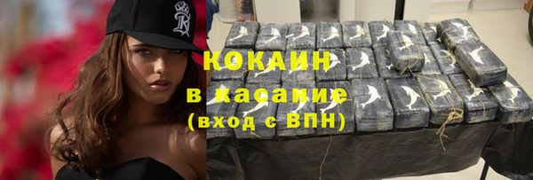 гидра Гусиноозёрск