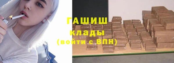 гидра Гусиноозёрск