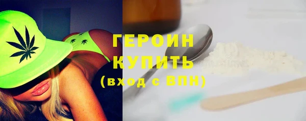 гидра Гусиноозёрск