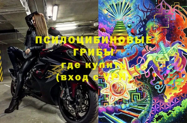 прущая мука Гусев
