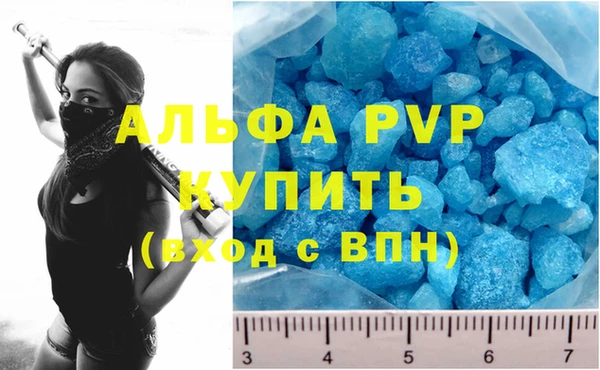 гидра Гусиноозёрск