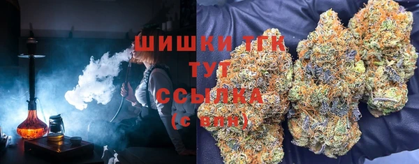 гидра Гусиноозёрск