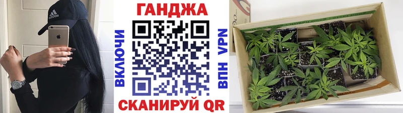 Купить  Киренск  Марихуана планчик 